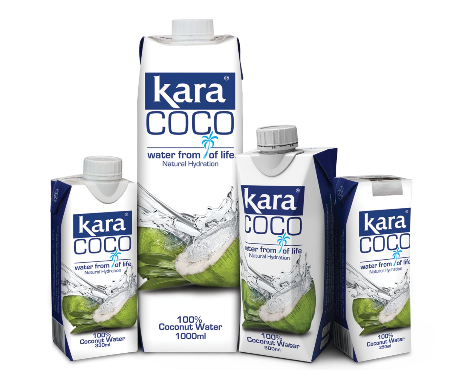 Coconut Cream, Milk, Water & Oil Singapore KARA