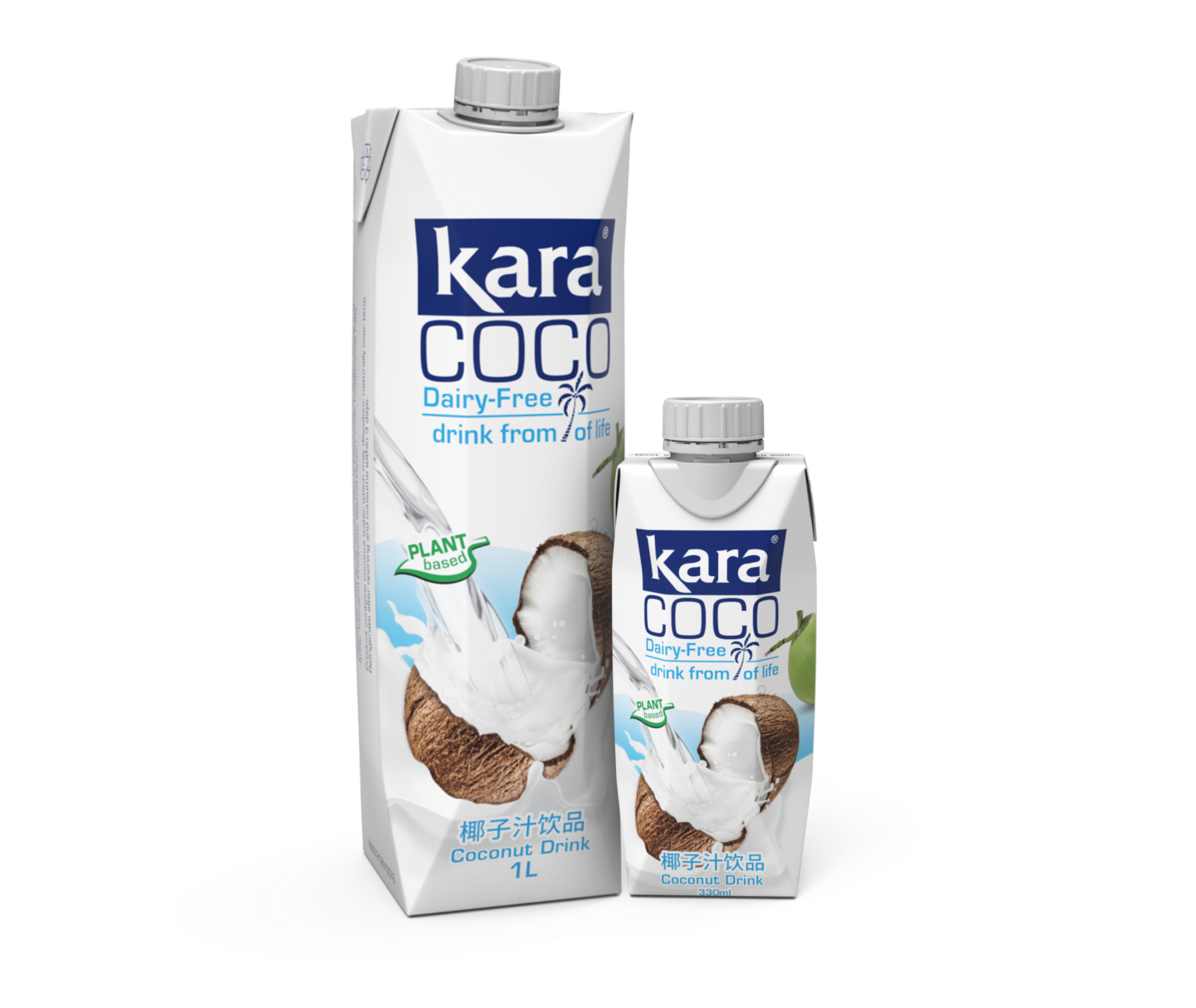 Coconut Cream, Milk, Water & Oil Singapore KARA